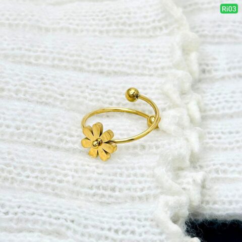 18K Gold Titanium Steel Ring Free Size