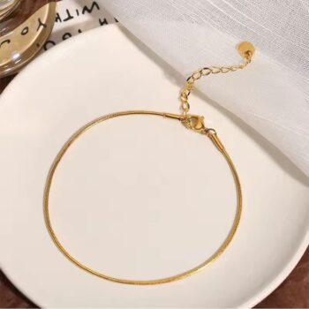 Stainless Steel Simple Round Snake Bone Chain Anklet for Women