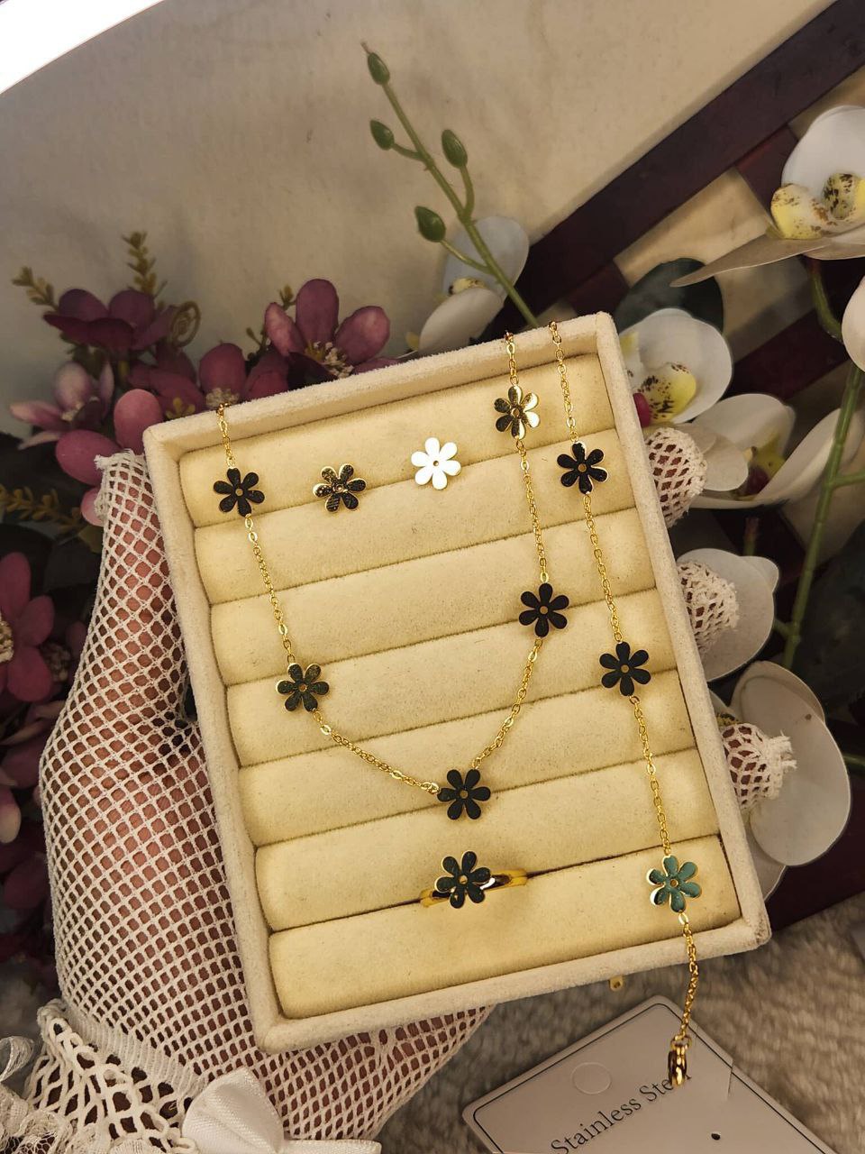 photo_2026-01-13_04-27-03